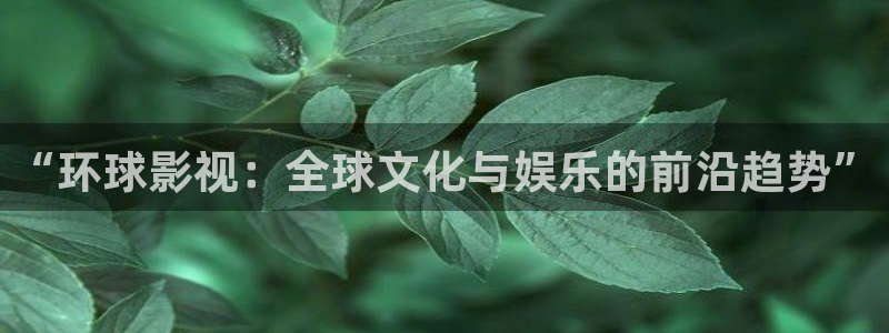 蓝莓视频网站.：“环球影视：全球文化与娱乐的前沿趋势”