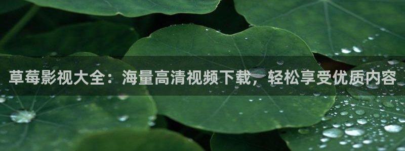 蓝莓视频网站入口：草莓影视大全：海量高清视频下载，轻松享受优质内容