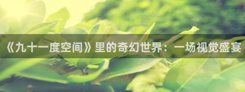 蓝莓视频在线观看：《九十一度空间》里的奇幻世界：一场视觉盛宴