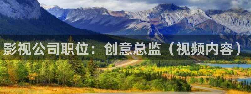 麻江蓝莓视频：影视公司职位：创意总监（视频内容）