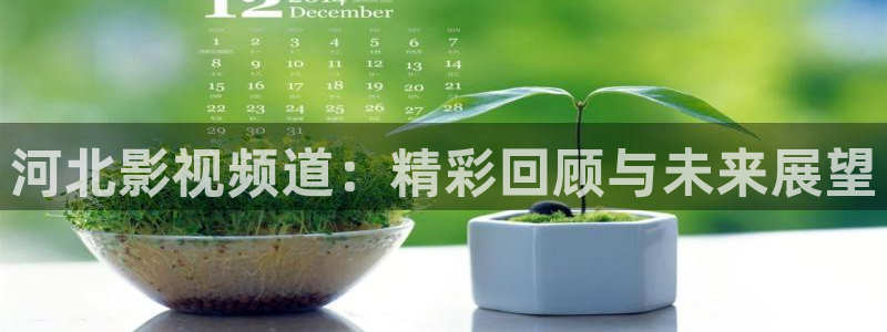 王蓝莓视频：河北影视频道：精彩回顾与未来展望