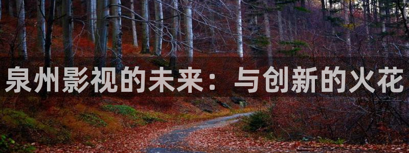 蓝莓视频www视频观看：泉州影视的未来：与创新的火花