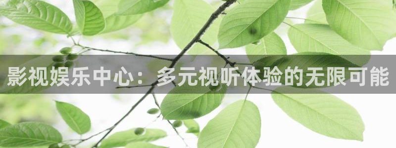 在线观看蓝莓：影视娱乐中心：多元视听体验的无限可能