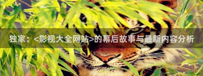 蓝莓养殖视频：独家：<影视大全网站>的幕后故事与最新内容分析