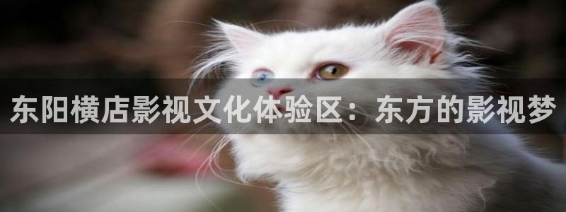 王蓝莓视频：东阳横店影视文化体验区：东方的影视梦