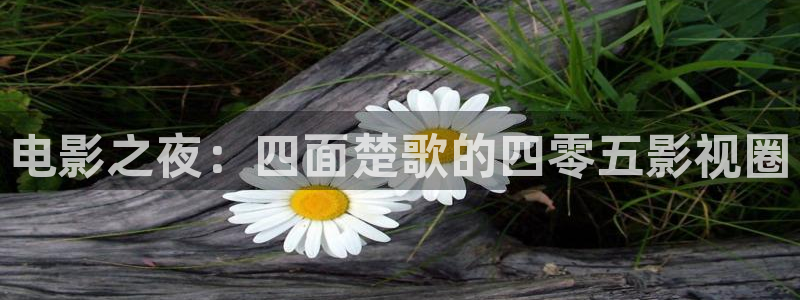 蓝莓视频网：电影之夜：四面楚歌的四零五影视圈