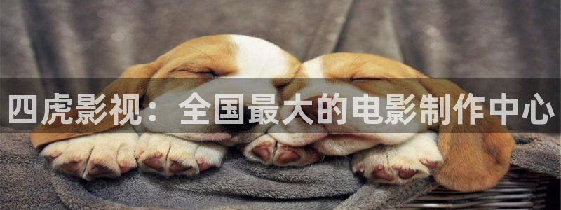 www.蓝莓视频：四虎影视：全国最大的电影制作中心