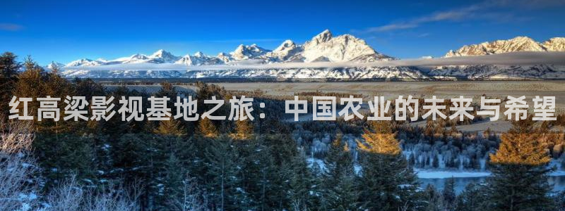 蓝莓免费网站：红高梁影视基地之旅：中国农业的未来与希望